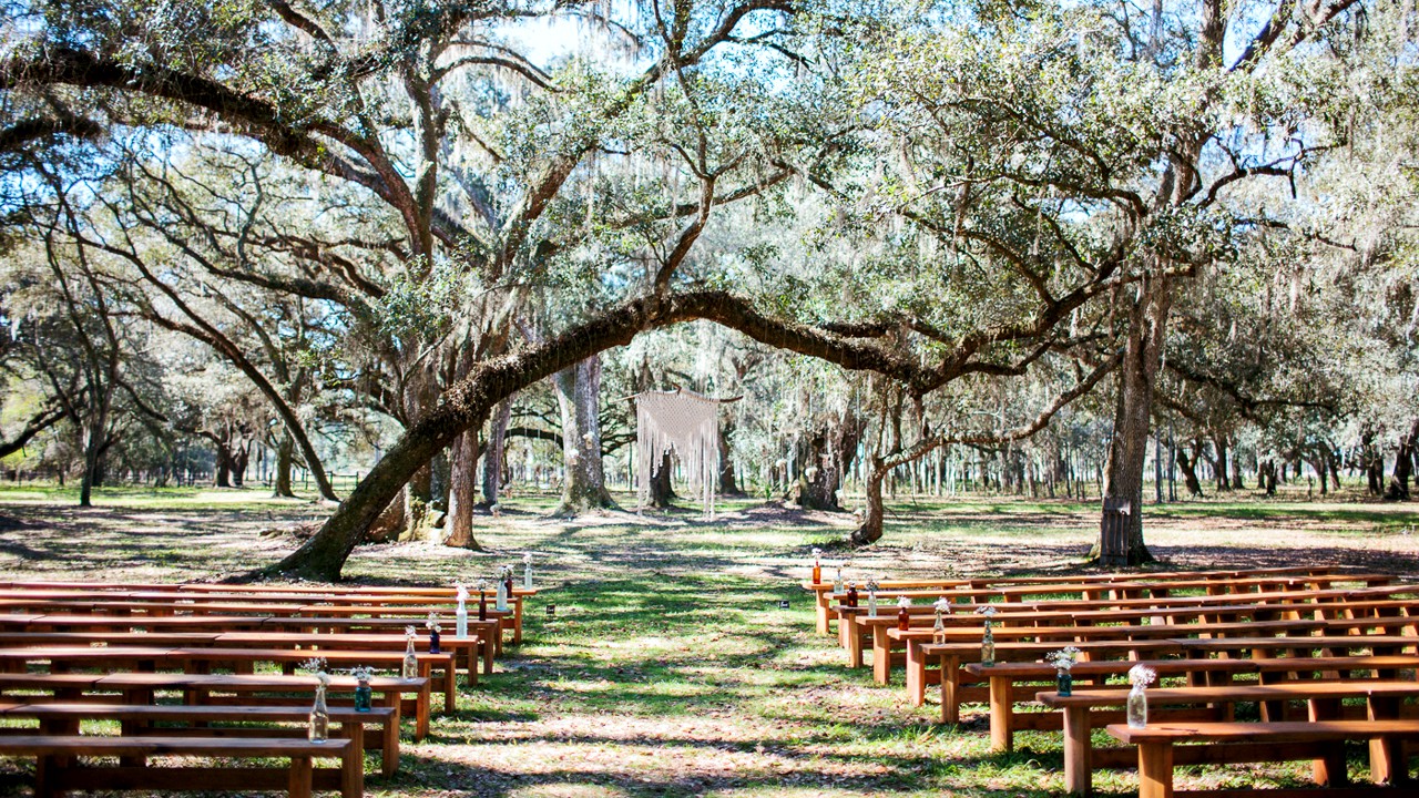 Picture looking from wedding seating towards the bridal arbor with gorgeous backdrop of Oaks and Spanish Moss.